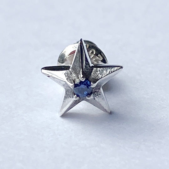 Bizarre/ビザール 【限定販売商品】スターリーシルバーピアス(1個売り